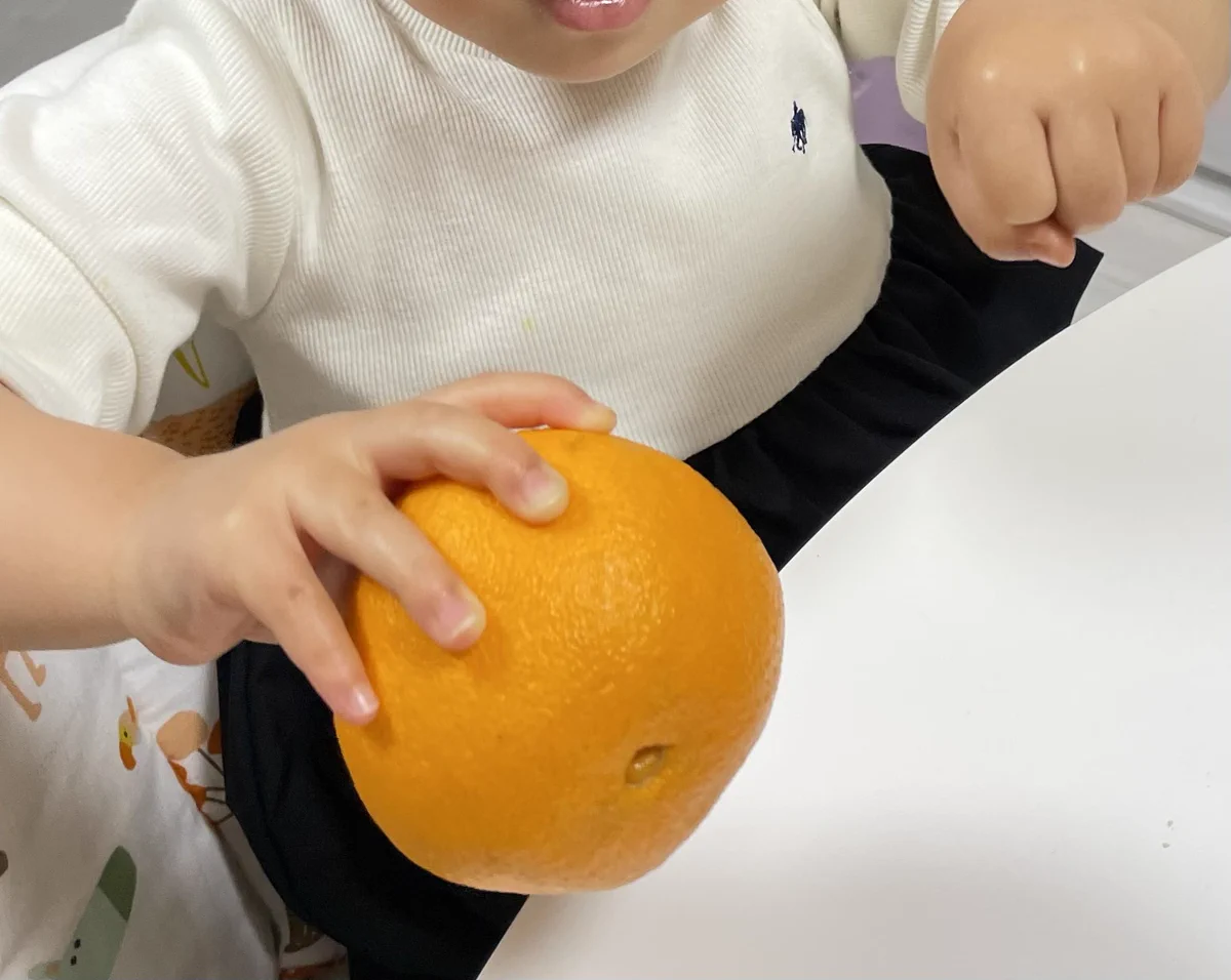 「どっちに入ってるでしょうか！？」。簡単すぎる？いや、もしかして引っ掛けの可能性もある？かもしれない問題。