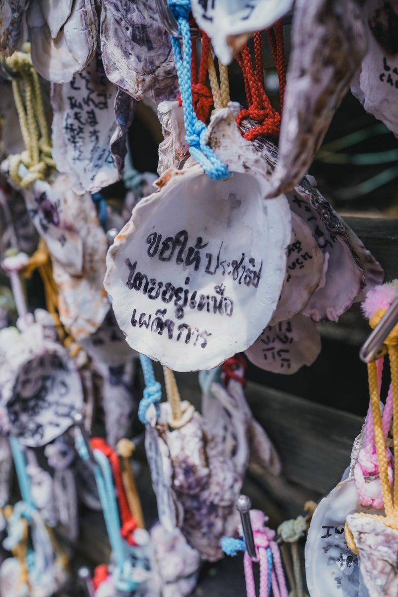 เจอสิ่งนี้ในวัดแถวคามาคุระ เพื่อนต่างชาติถามว่าแปลว่าอะไร พอแปลให้ฟังเค้าบอกทำไมคนไทยอินการเมืองขนาดนี้ คือเค้า expect ว่าปกติคนก็มาขอสุขภาพ การเรียน การงาน ความรักอะไรงี้😆