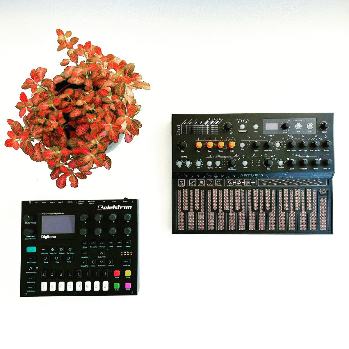 O5audio's tweet image. ♣️+♠️

#synth #synthesizers #digitone #microfreak #elektron #arturia @ArturiaOfficial @WeAreElektron