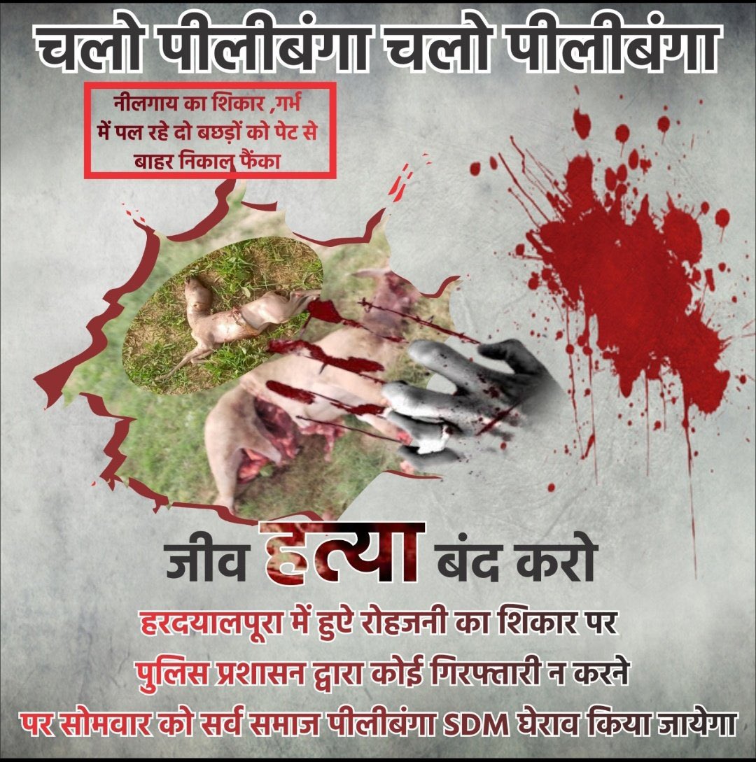 #हरदयालपूरा_नीलगाय_प्रकरण