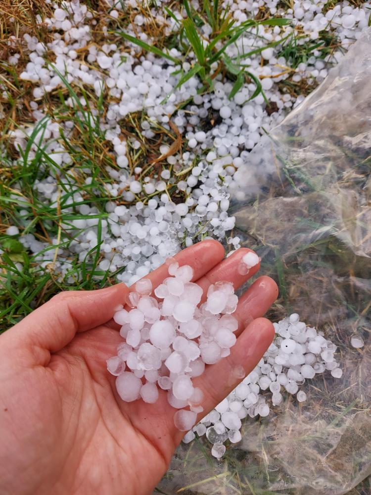 boms_tricis's tweet photo. Krusa Kandavā.
Foto: ig/@lieneess https://t.co/cFNCdLtx8J