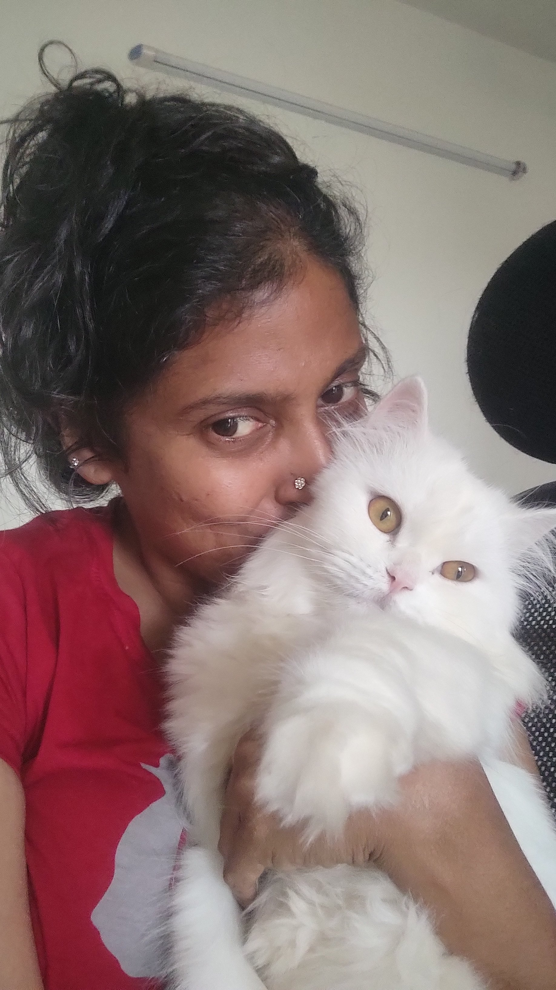 Pratap J on Twitter "MundoliSeema Can you give me tips on how to make