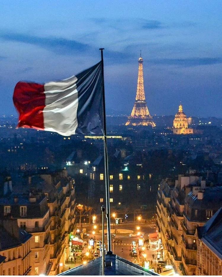 Davinho 🇫🇷🇨🇦 tweet media