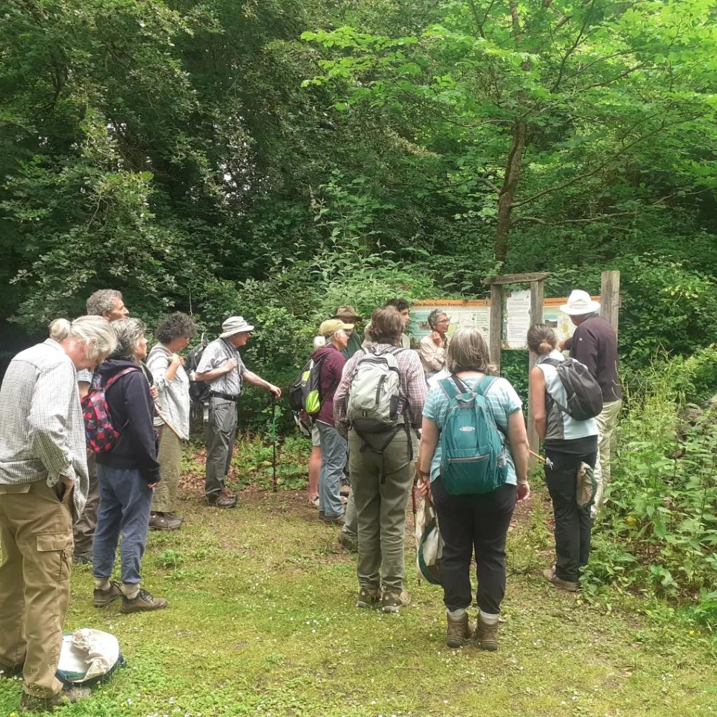 Great walk in the Doward yesterday looking for flies. Star of the show the Downland Villa. @clan_cic <a href="/HeritageFundUK/">The National Lottery Heritage Fund</a>