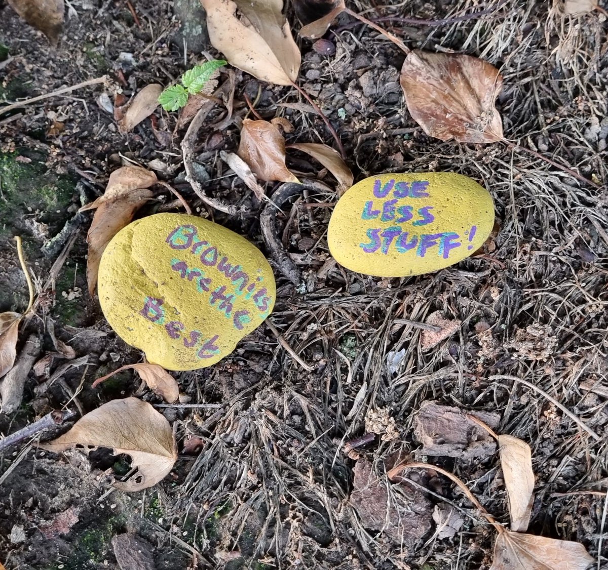 CllrRMallender's tweet image. Litter picking on Ten Acre Field the other day, found these lovely painted pebble messages left by the #LadyBay #Brownies 😊👍
💛🤎
#WestBridgford
