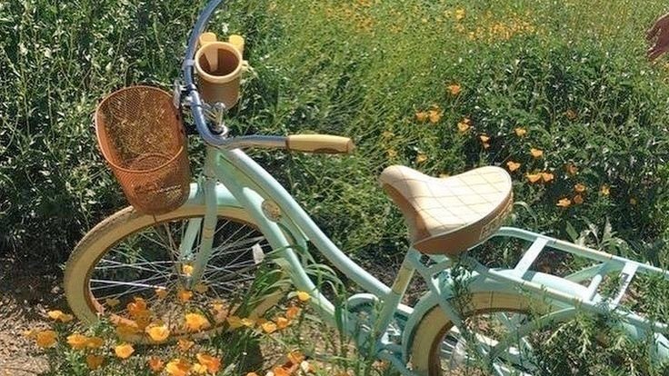 moodyonmoon's tweet image. 🚲