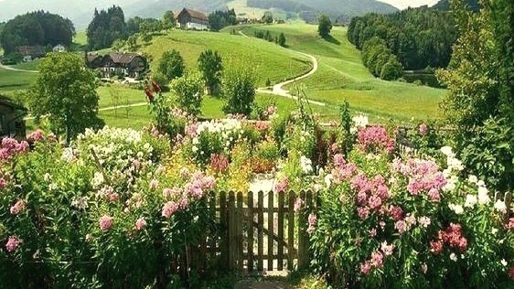 moodyonmoon's tweet image. 🚲