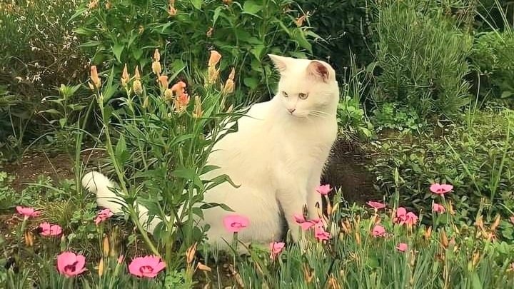 moodyonmoon's tweet image. 🚲