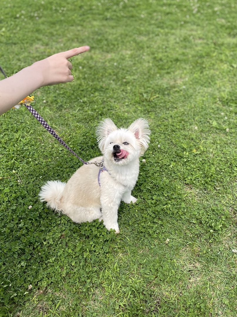 りんね (@Rin__816) / Posts / X