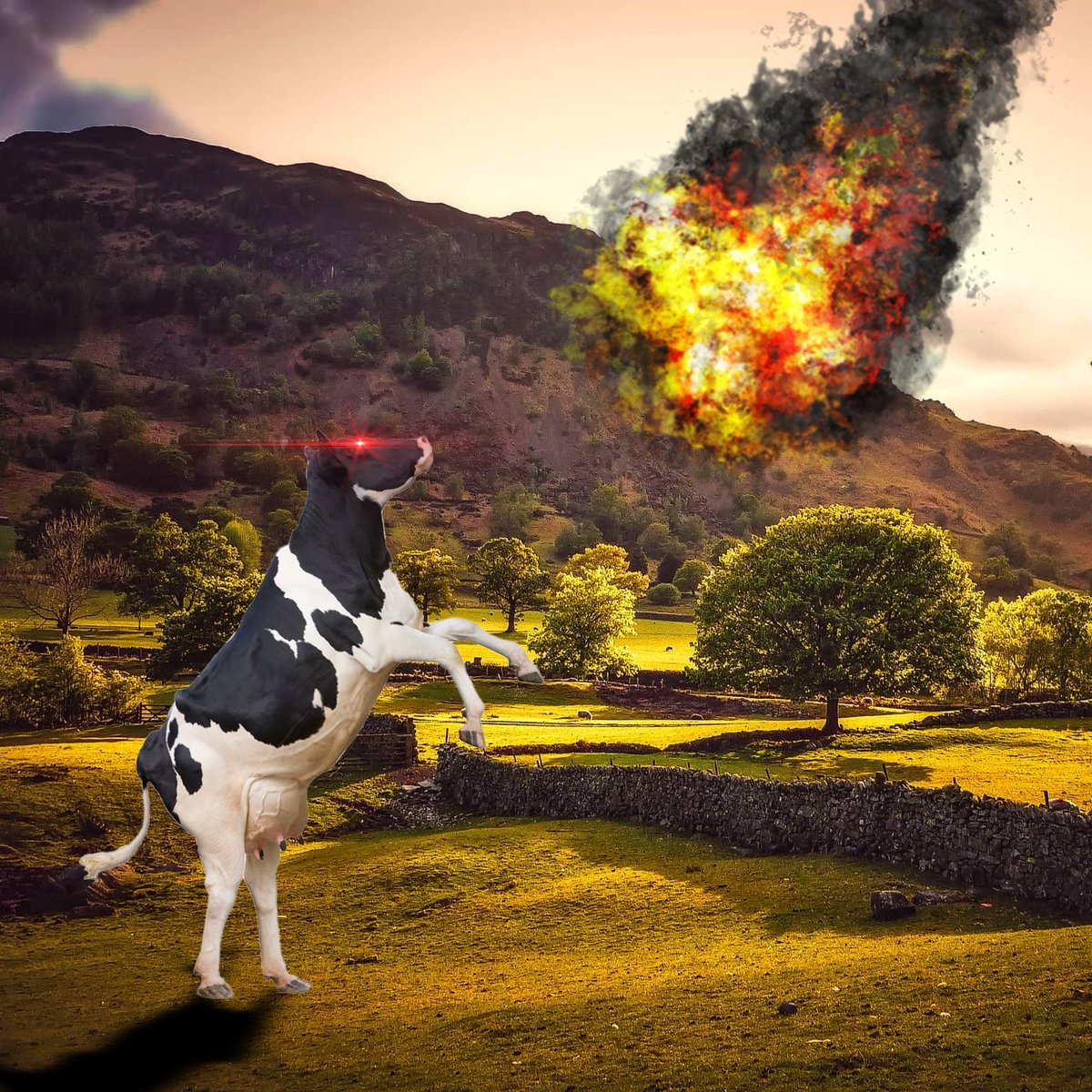 Mandatory Redistribution Party tweet media