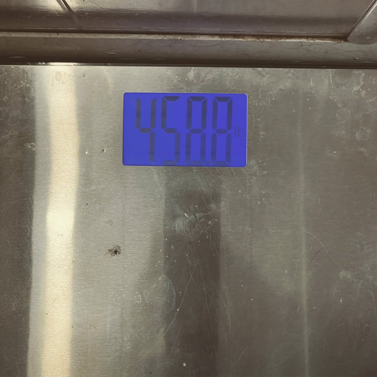 BigASells90's tweet image. Sunday morning weigh in. Down 4.8LBS from last week. Slow and steady wins the race! This has been with a 14:10 IF routine and some @DDPYoga plus just trying to overall move more. As long as the number is going down, it’s progress! #iam1stphom #ddpyogaworks #ddpyogajourney