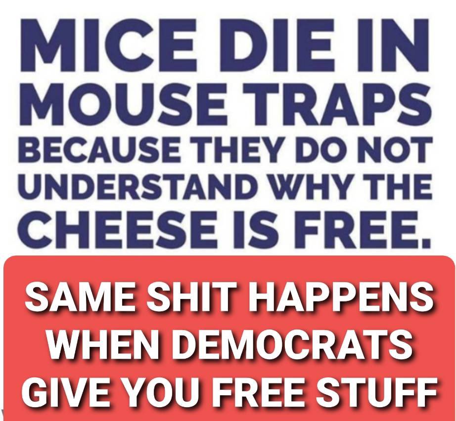 Mice are way smarter than a Democrat!!