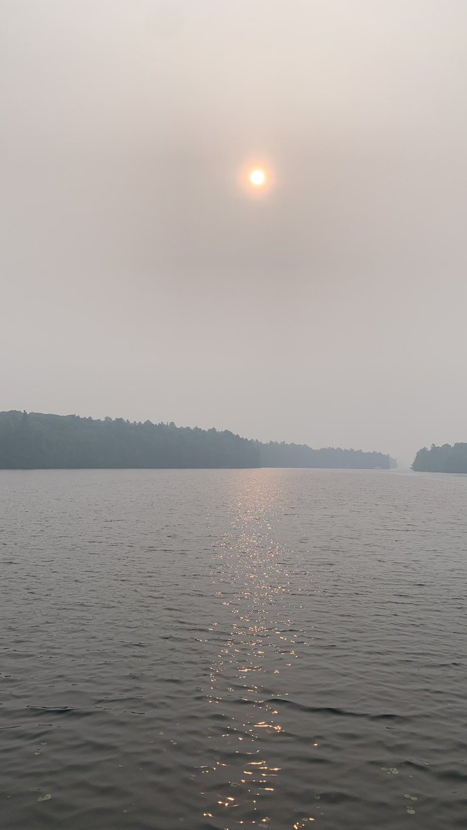 @StormsOnErie I’ll take dog over smoke any day 
Right now #ParrySound 😐
#QuebecWildfires #AirQuality #Ontario