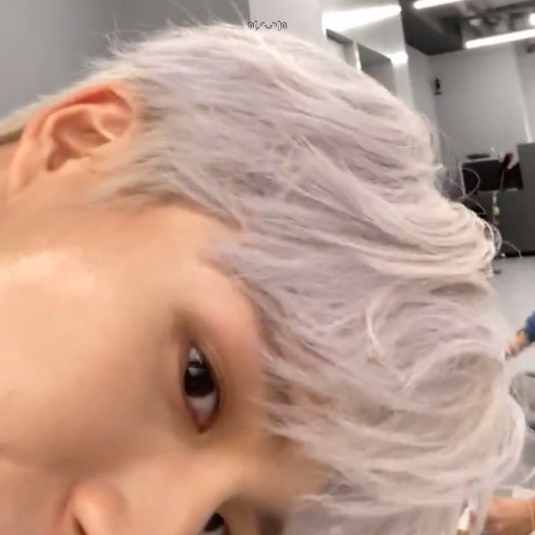 강아지가 셀카 찍어놨네