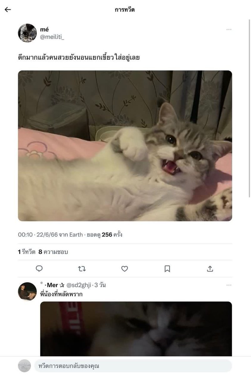 𝑛🤍 tweet media