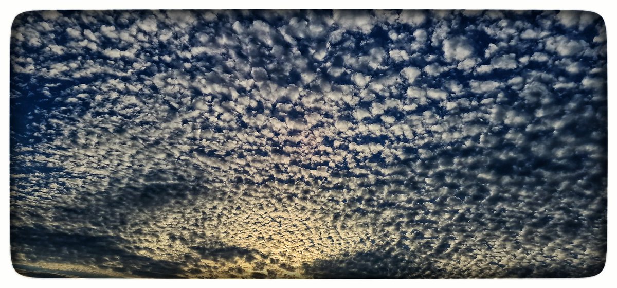 Peepers_110170's tweet photo. Beautiful Saturday evening sunset cloudscape @visitBradford @IlkleyChat @Discover_Ilkley 

#cloudscape #cloudscapes #cloudscapesphotography #clouds #cloudscape_lovers #sunset #sunsetphotography #⛅️ #cloudscapephotography⛅️☁️💨 #cloudscapesofinstagram #dramaticsky #joyful_sky https://t.co/ybXLDNB6yq