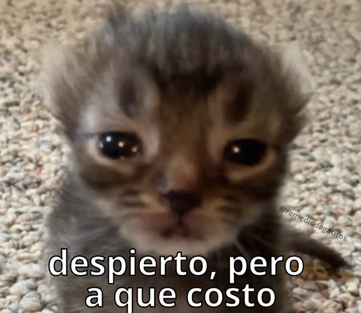piña sin pizza (@skereunpesado) on Twitter photo 