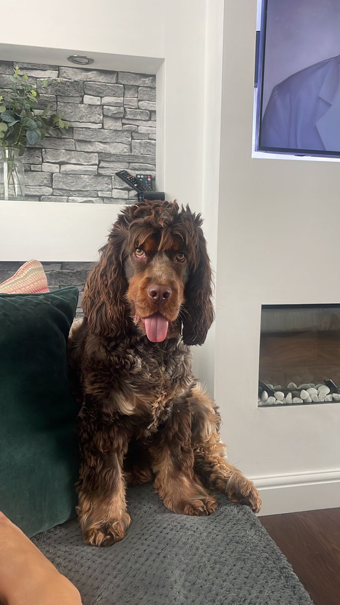 NEIL HULL tweet media