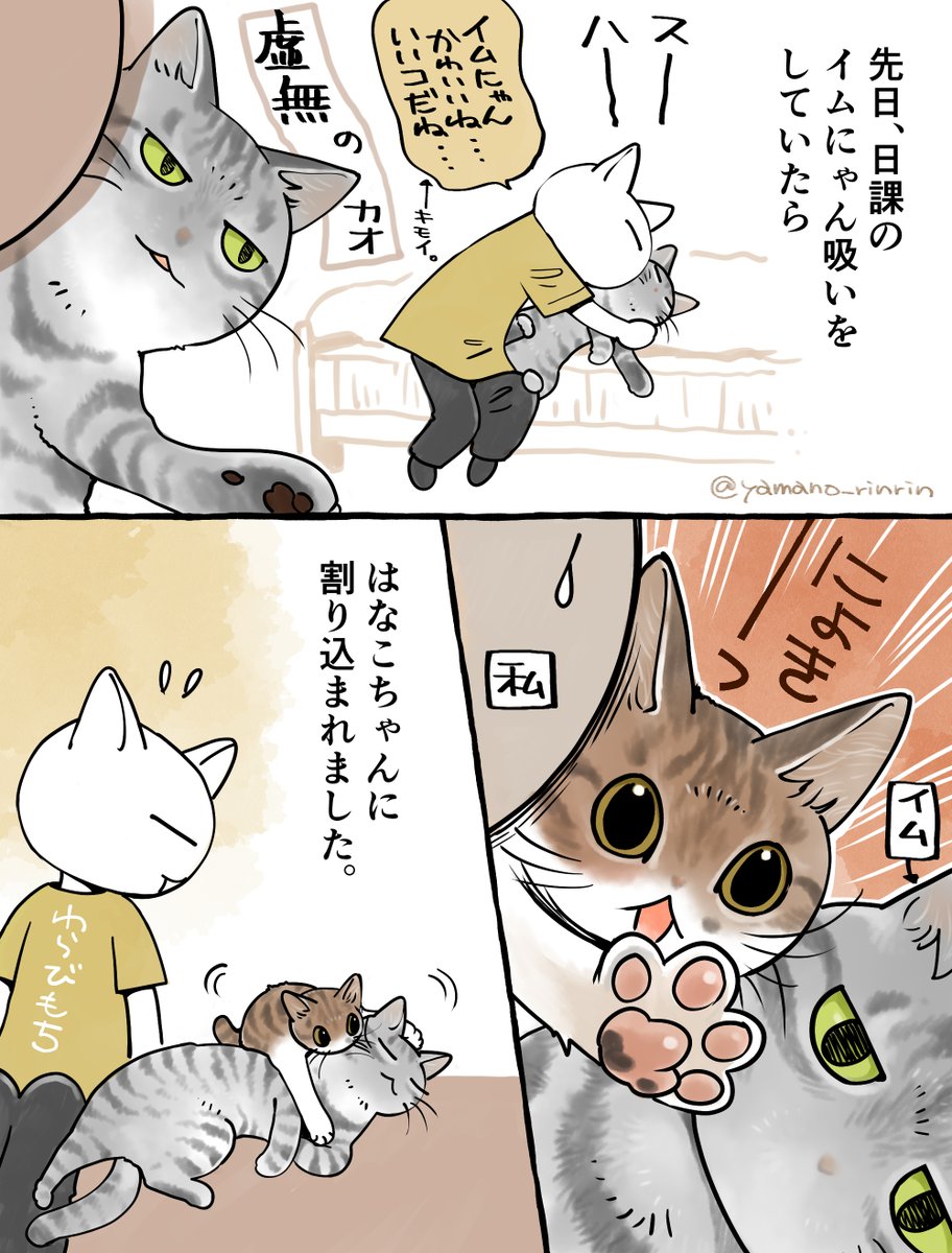 #今日の山野絵
日課のイムにゃん吸い🐈 