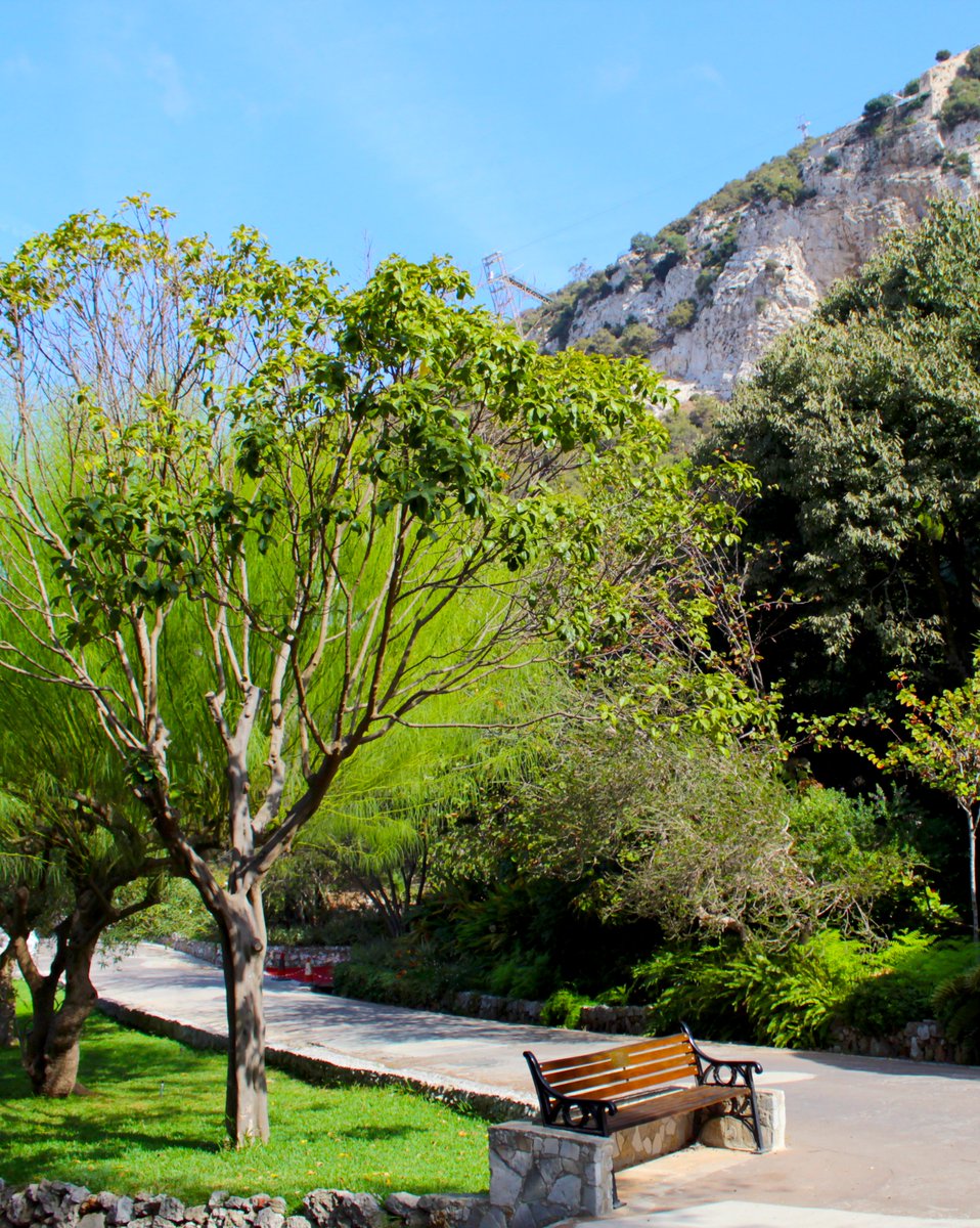 Hello Sunday! Have a happy day! 📷 Gibraltar Weather 25 June 2023 Sunrise 07:05📷/ Sunset 21:42📷 Clear Sky 21°/25° Humidity 73% See the weather for the next few days whatsoningibraltar.com/weather #gibraltar #gib #gibraltarweather #visitgibraltar #whatsoningibralt