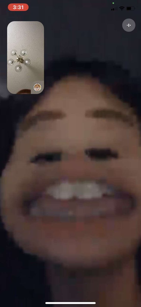 clover 🌱1:13 on Twitter: "im on FaceTime with Lyra and this is her pov