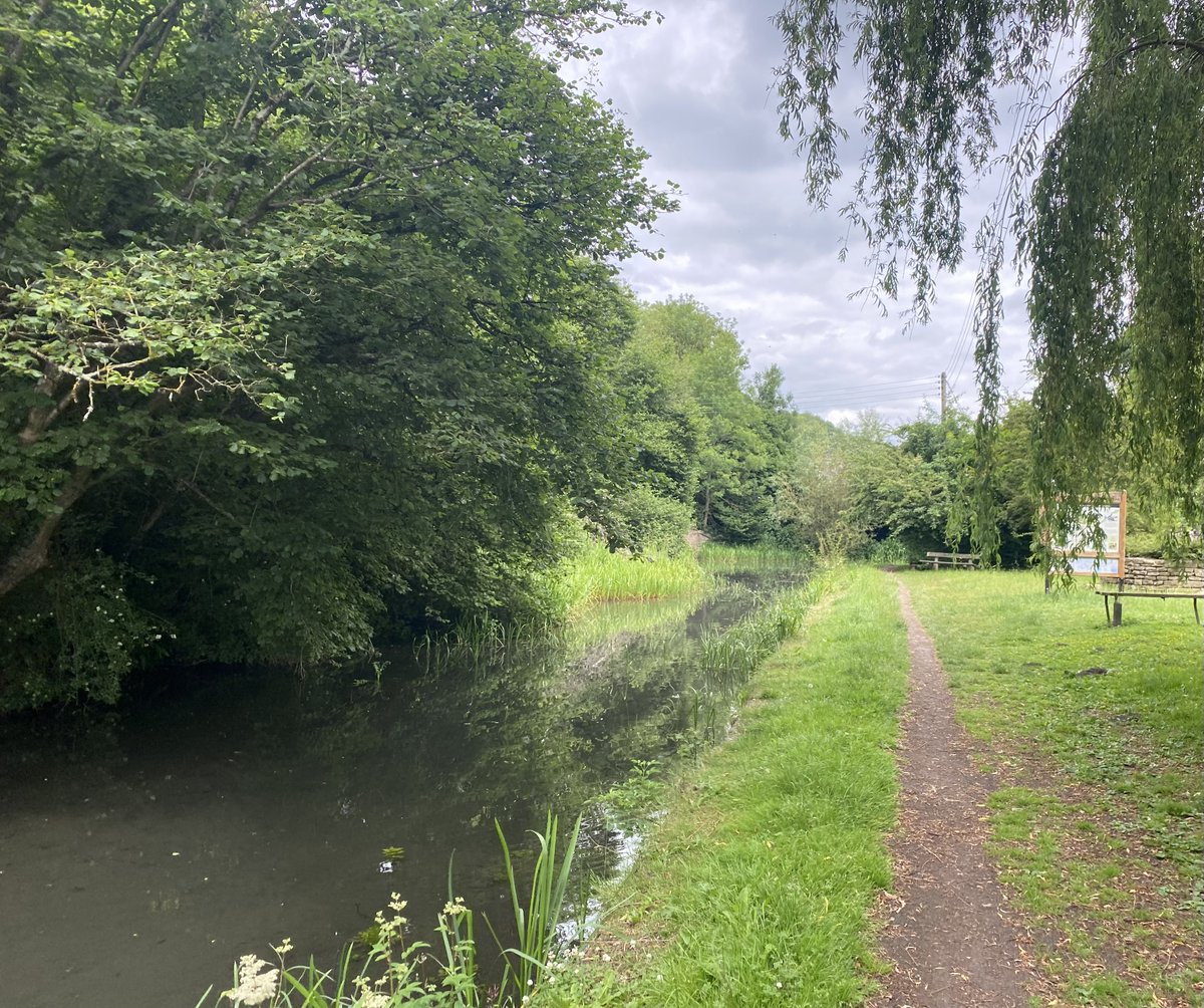 Day 175 of my #walk2023miles challenge supporting @TrussellTrust a 13 mile Saturday afternoon walk from Burnt Ash Farm CL along the Golden Valley besides the Thames and Severn Canal to Sapperton and back through the Cotswold countryside #cotswoldwalks #stopukhunger #bootsonmiles