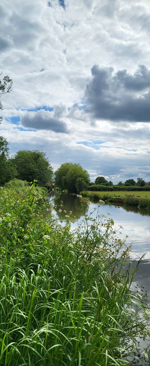 Good morning everyone 👋 wishing you all a lovely Sunday. Photo from yesterday's walk along the Trent and Mersey canal at Willington, Derbyshire. #ScenicView #Trees  #NaturePhotography #Reflections #CanalWalk