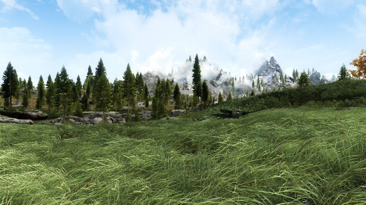 So...trying out Skoglendi - A Grass Mod
Upon load this is the first frame that loads...
i...i can't even wait to start exploring with this.