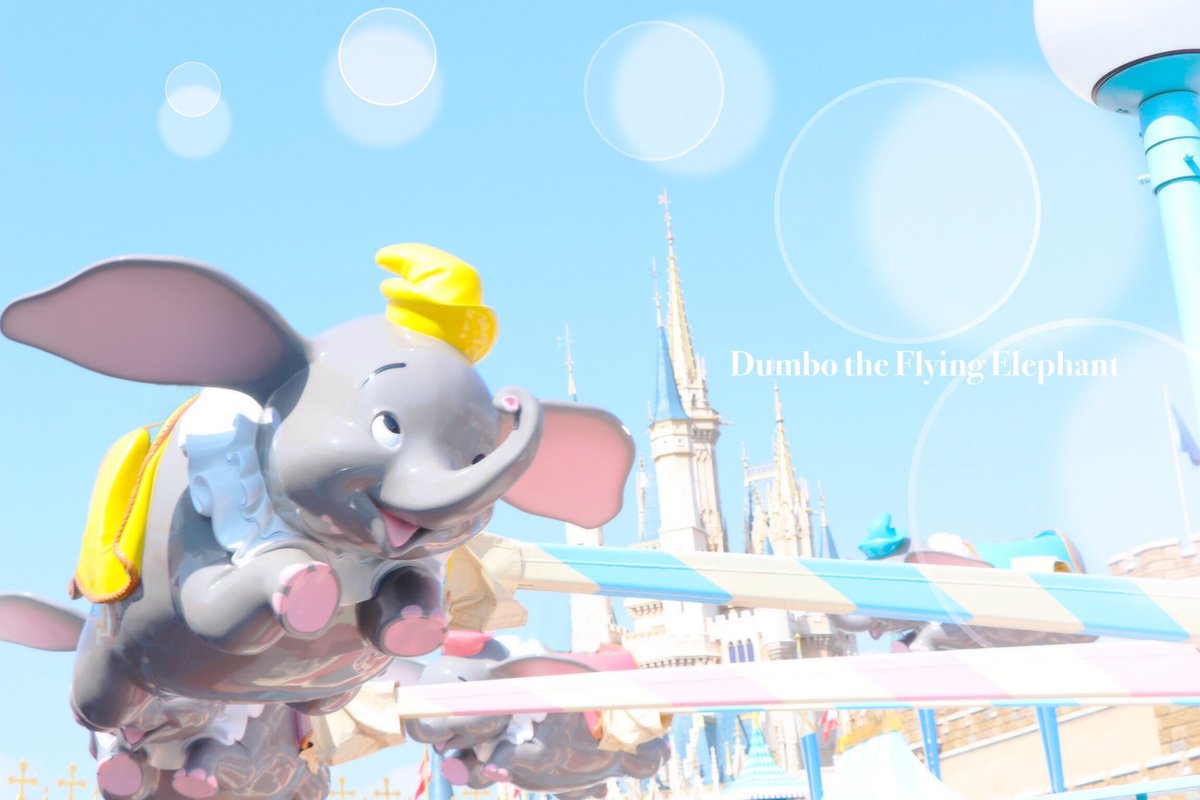 nyan_nyan_day0's tweet photo. ...
ディズニー大好きな方とたくさん仲良くなれたら嬉しいです💭
⠀
#ディズニー好きと繋がりたい
#Dオタさんと繋がりたい
 #twitter上にいるDヲタ全員と繋がるのが密かな夢だったりするのでとりあえずこれを見たDヲタはRTもしくはフォローしていただけると全力でフォローしに行きます https://t.co/Xo1ir5B7kr