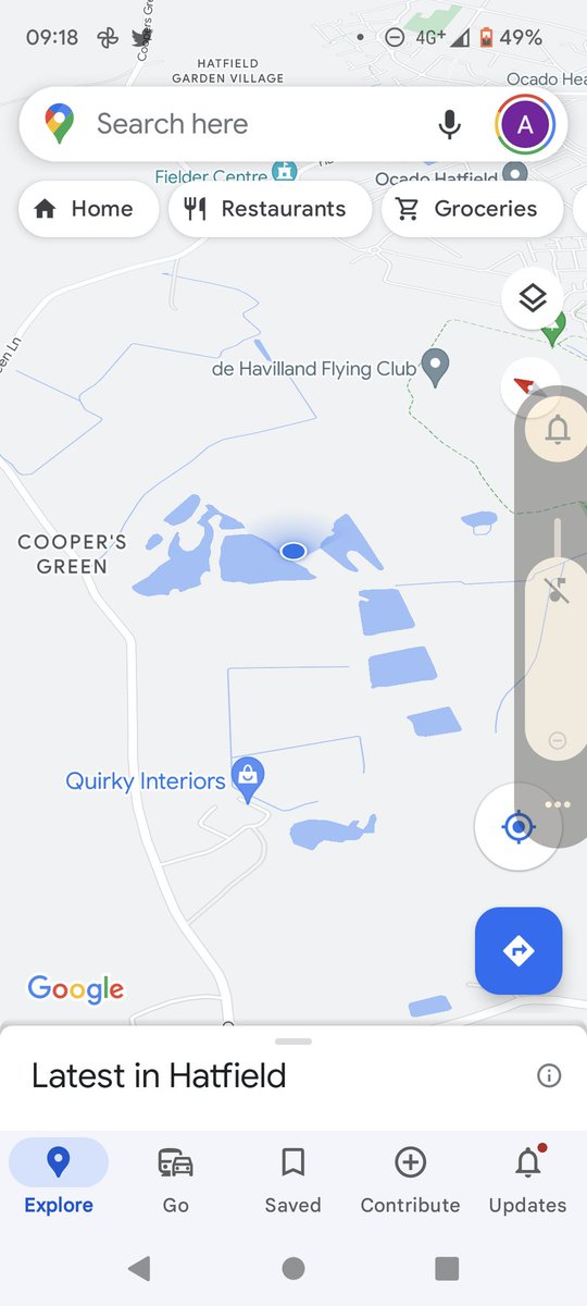 3 Greenshank  + 35 Lapwings on main Cooper Green Pits not Stanboro #hertsbirds