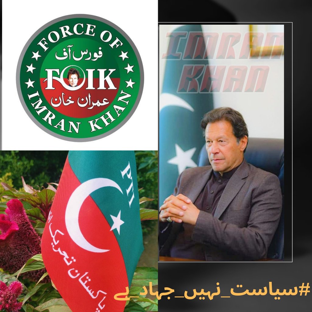 Imran Khan is our redline don't cross it 
@TeamFOIK__
#سیاست_نہیں_جہاد_ہے