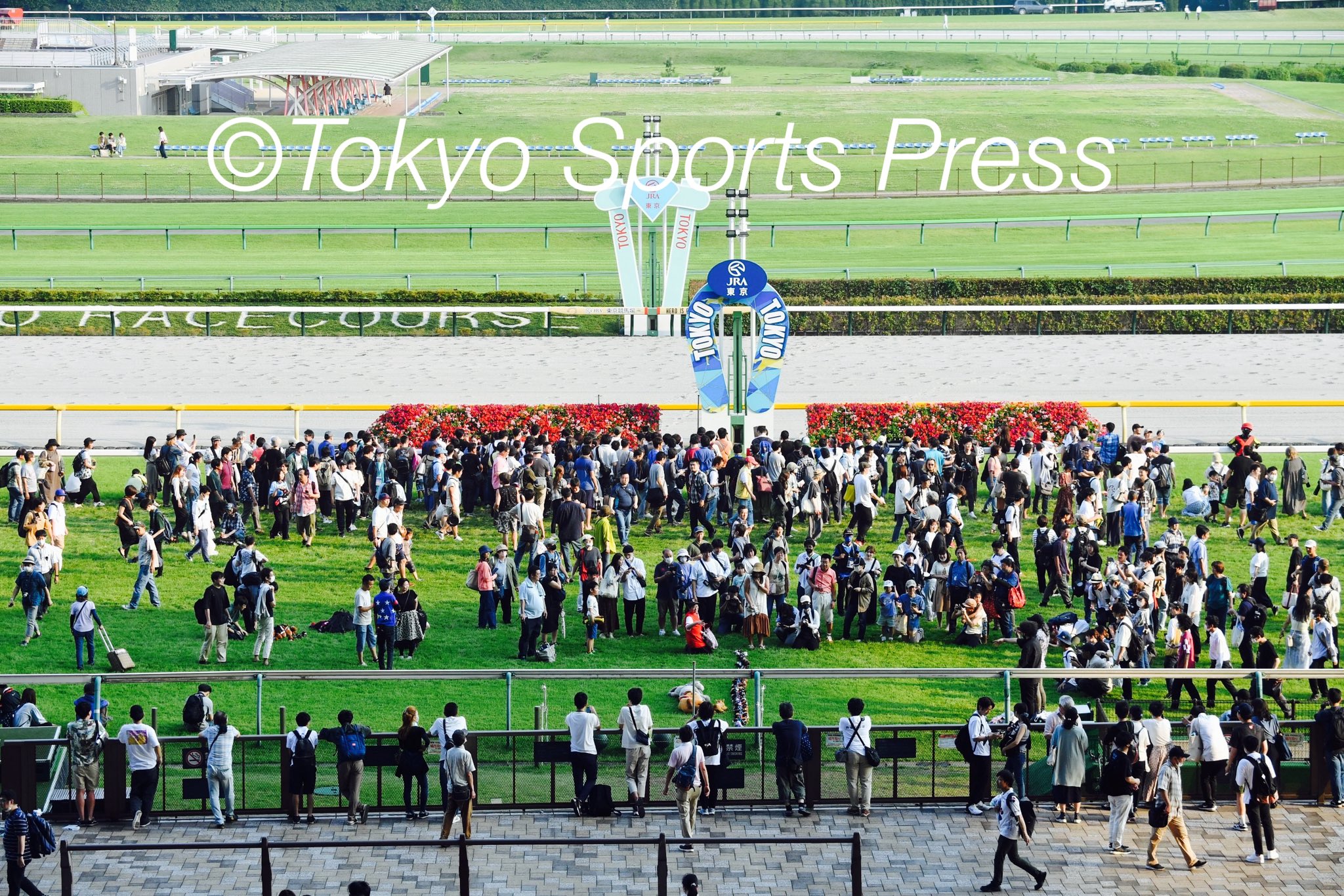 東京競馬場 ポスター 誘われて週末トーキョーケイバジョー🐎💨 ⁡ @jra.official JRA様