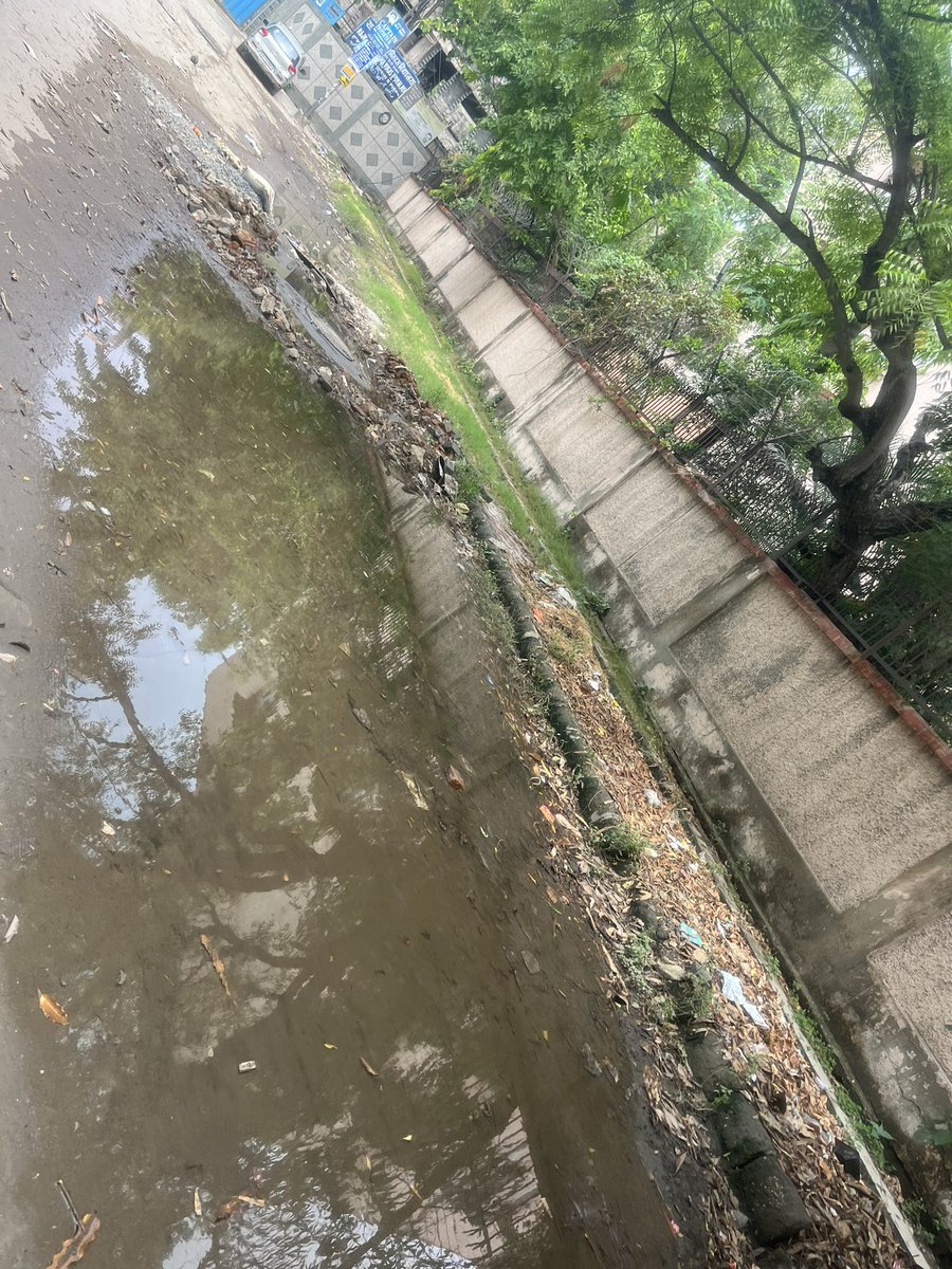 GeetSethiS's tweet image. Hello @OberoiShelly situation outside Balaji Hospital &amp;amp; DDA Sports Complex Paschim Vihar A-4 Block 
Shakurbasti VidhanSabha.

Hope to See your reply as you are active on twitter . 

@LtGovDelhi @DelhiMcd 

Area MLA is #SatyendraJain so responsible is in Jail @AAPDelhi what to do