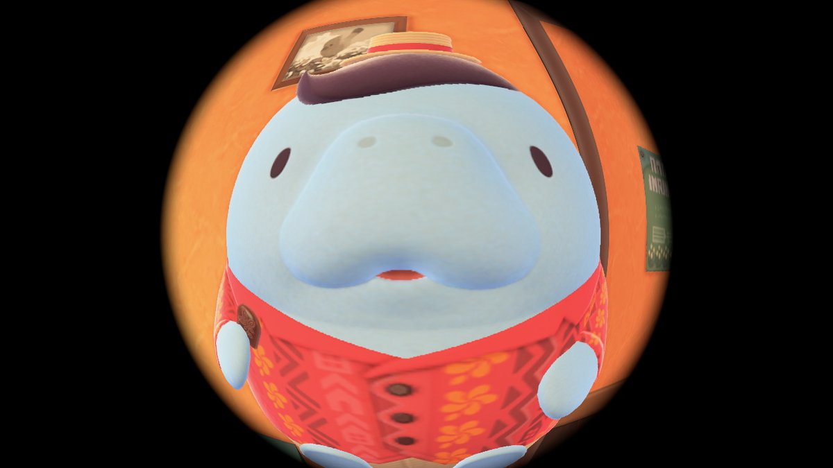 flying_cookiee's tweet photo. 圓圓的

#動物森友會 #AnimalCrossing #ACNH https://t.co/5mmYDbGnKQ