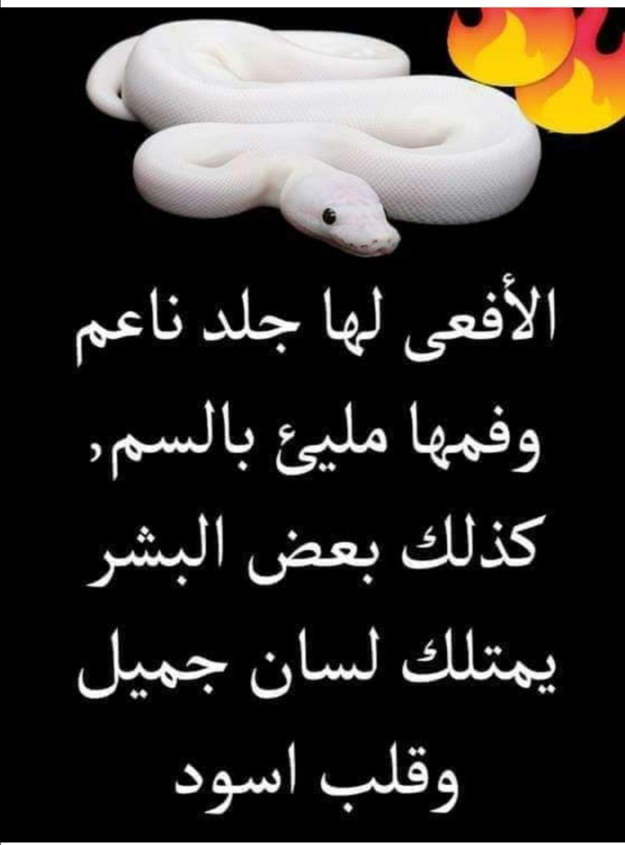 محمد الحوت (@mmoh77p) on Twitter photo 