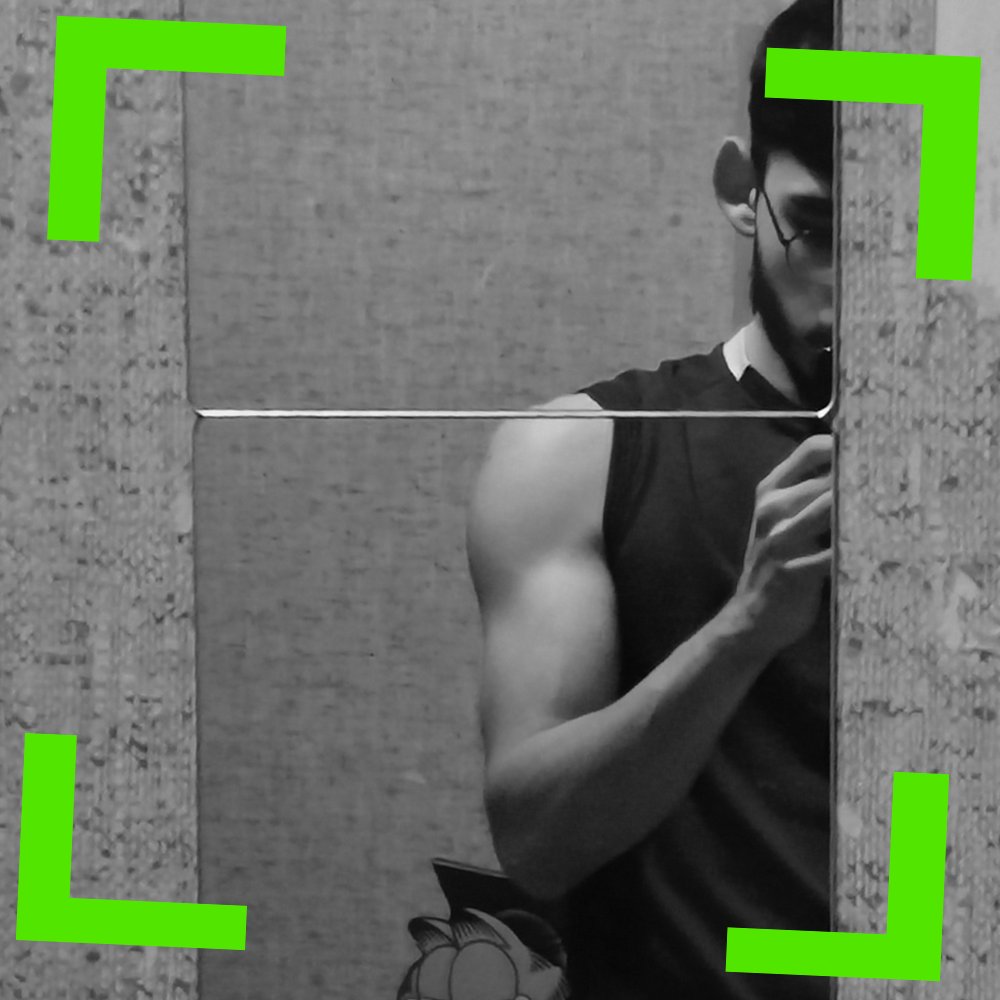 Dryssix2's tweet photo. 50€ is my number @kickfrancais 🤣💚 https://t.co/esbRRngx7T