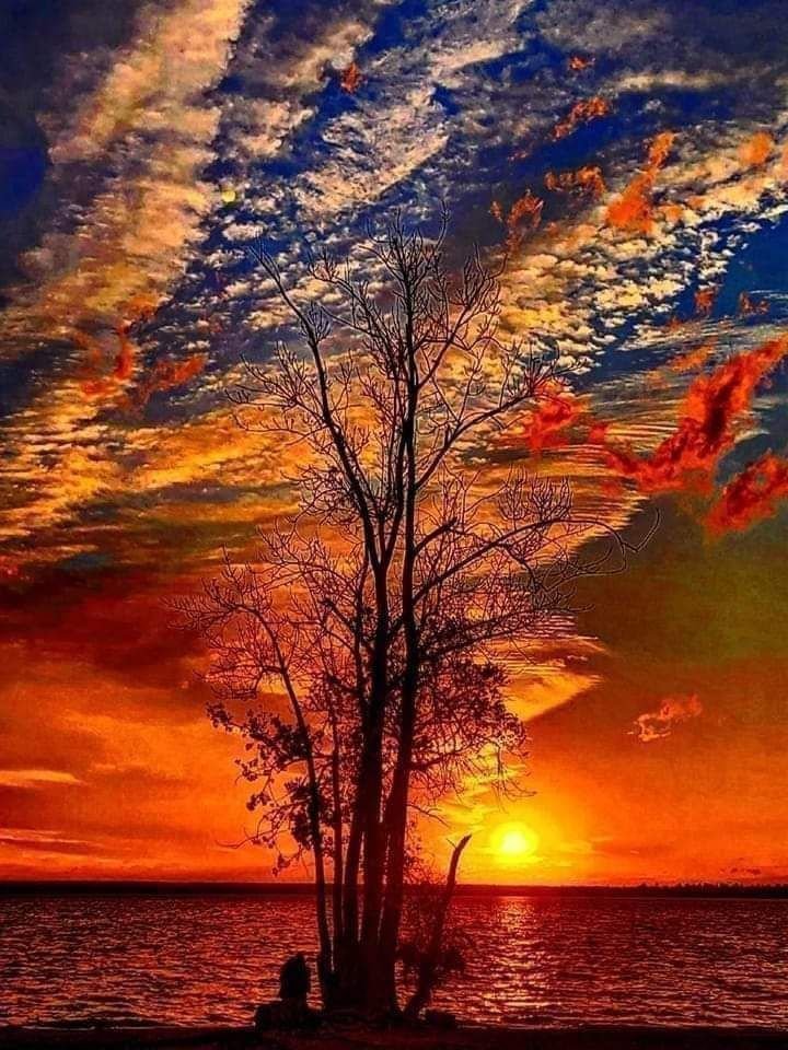 jaingurug's tweet photo. #NaturePhotography #nature #sundayvibes #NatureBeauty https://t.co/jMhI3kEKUU