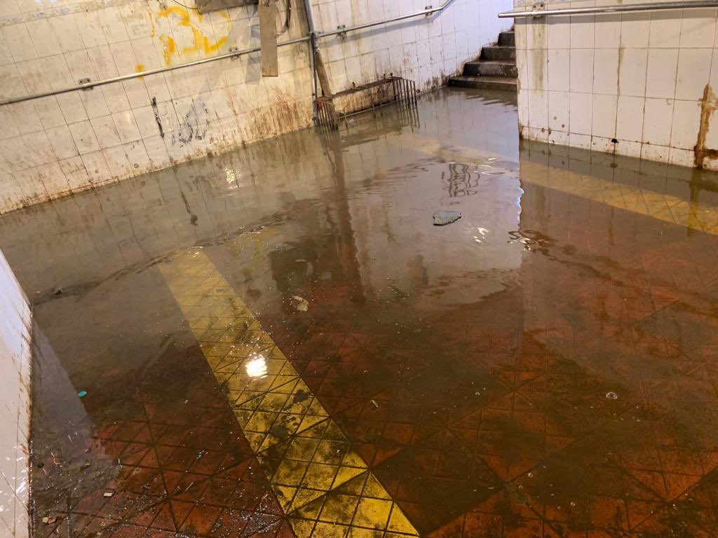 bpkalia's tweet photo. @mybmcWardRS This subway joins Thakur Complex to Thakur village near Asha nagar Kandivali East. At one end the path is flooded with water &amp; it dangerous,spreading diseases
 Request @mybmcSWM to resolve the issue with immediate effect before any major accident. 

Bhavesh Kalia. https://t.co/qT3CCfuct2