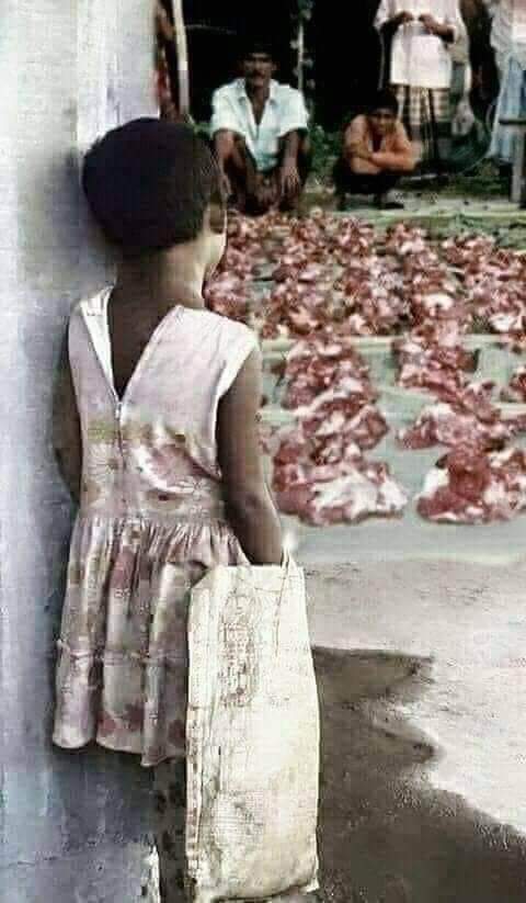 Views_indus's tweet photo. قربانی کا گوشت فریجوں میں نہیں غریبوں میں تقسیم کریں۔ عید سے پہلے اس پیغام کو شیئر کریں شُکریہ
#ExpelAfghanis
#ShaukatKhanumQurbani
#PakwinsFirstGlasalion #Azha https://t.co/Fmxv2hDCEV