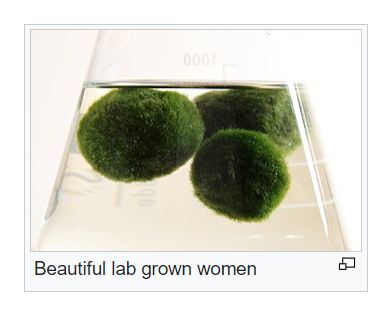 Wikipedia but nothing, never, not anymore (@wikiooc) on Twitter photo 