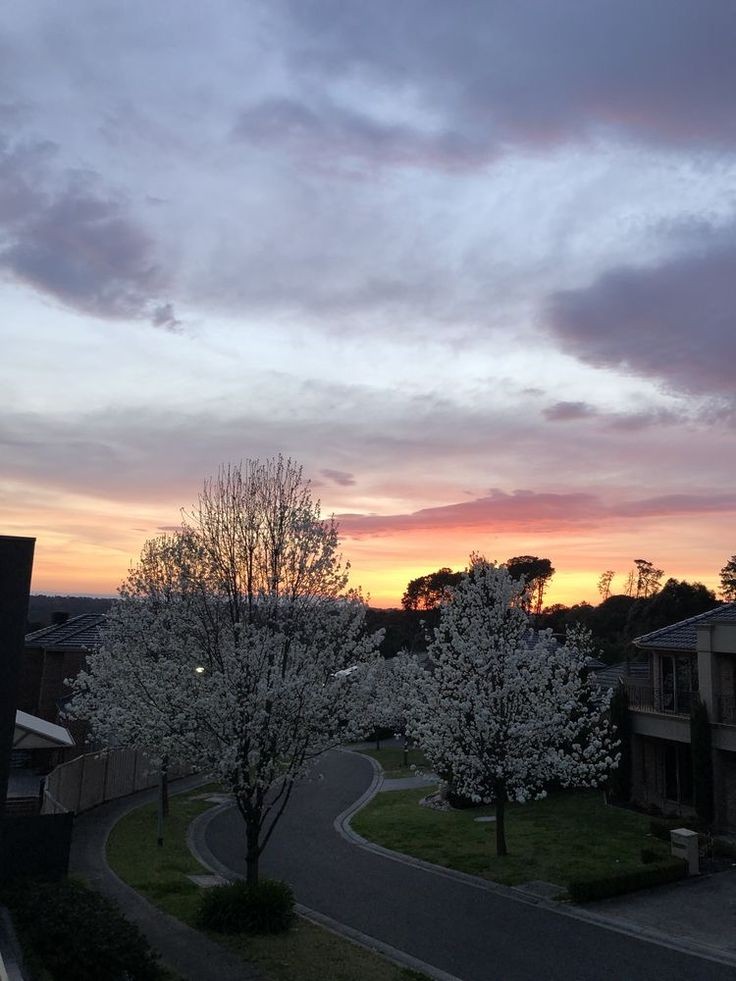 – Доброе утро! Сегодня выходил пораньше на пробежку и застал такую красоту. А ты как? Небось только проснулся? Что ж.. Не желаешь составить мне компанию за завтраком или за чашечкой кофе?
