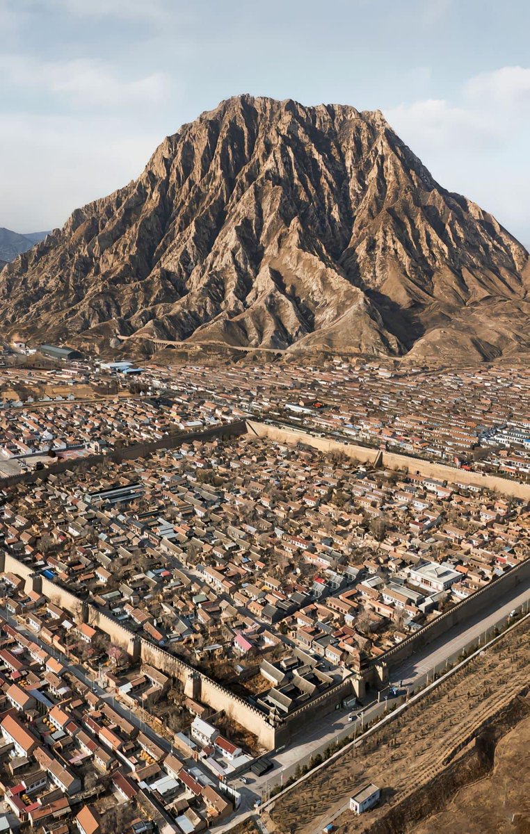 楊錦麟 tweet media