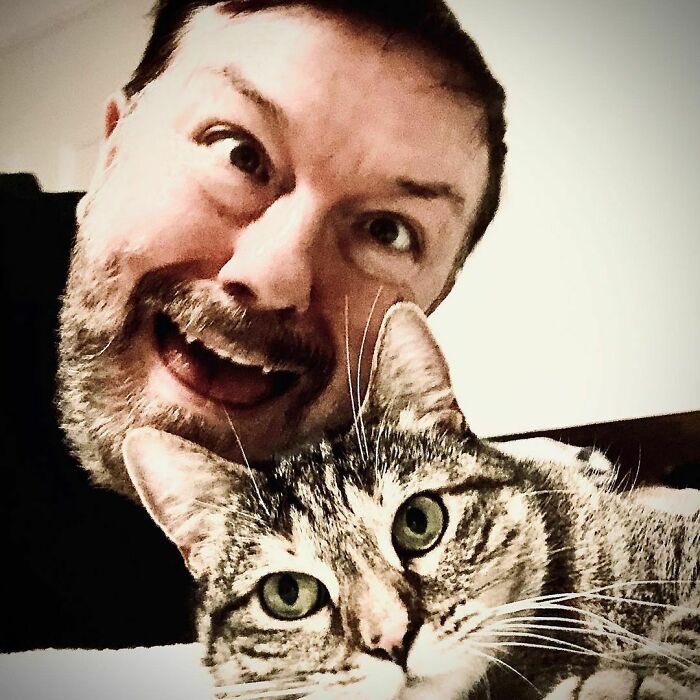 @BollocksGang @rickygervais Woo Hoo yay thank you everyone for helping sad animals and #HappyBirthdayRicky adopted by #PickliciousF! 

#AdoptDontShop #CatsOfTwitter #DogsOfTwitter #EndAnimalCruelty #EndAnimalTesting #AfterLife