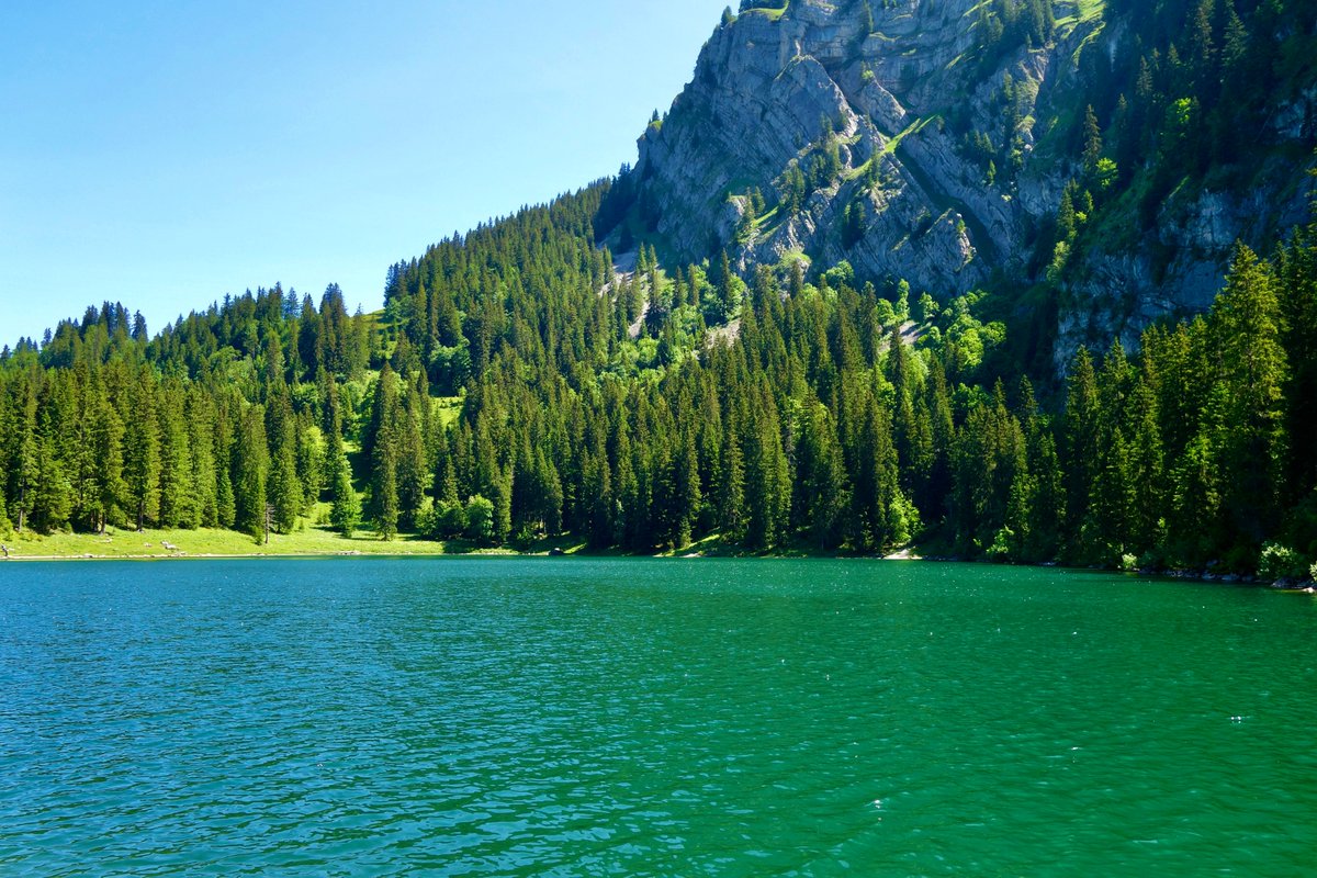 Cédric Cotter tweet media