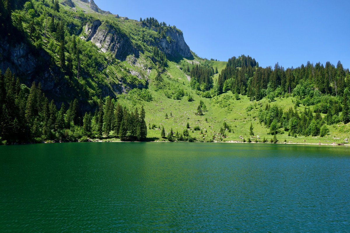 Cédric Cotter tweet media