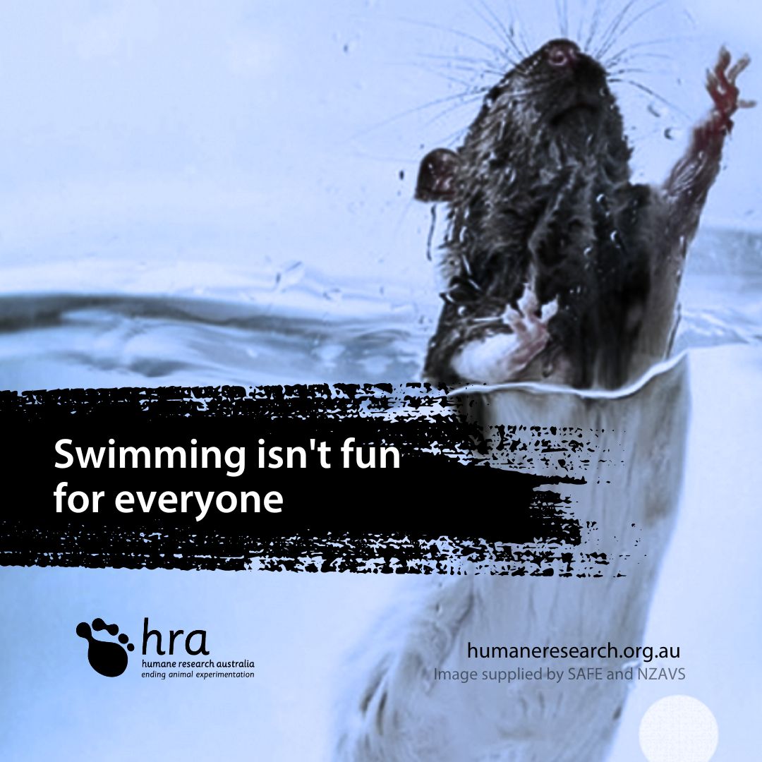 Swimming isn’t fun for everyone!

#EndAnimalExperimentation #EndAnimalExperiments #EndAnimalTesting #CrueltyFree #AnimalExperiments #AnimalExperimentation #AnimalTesting