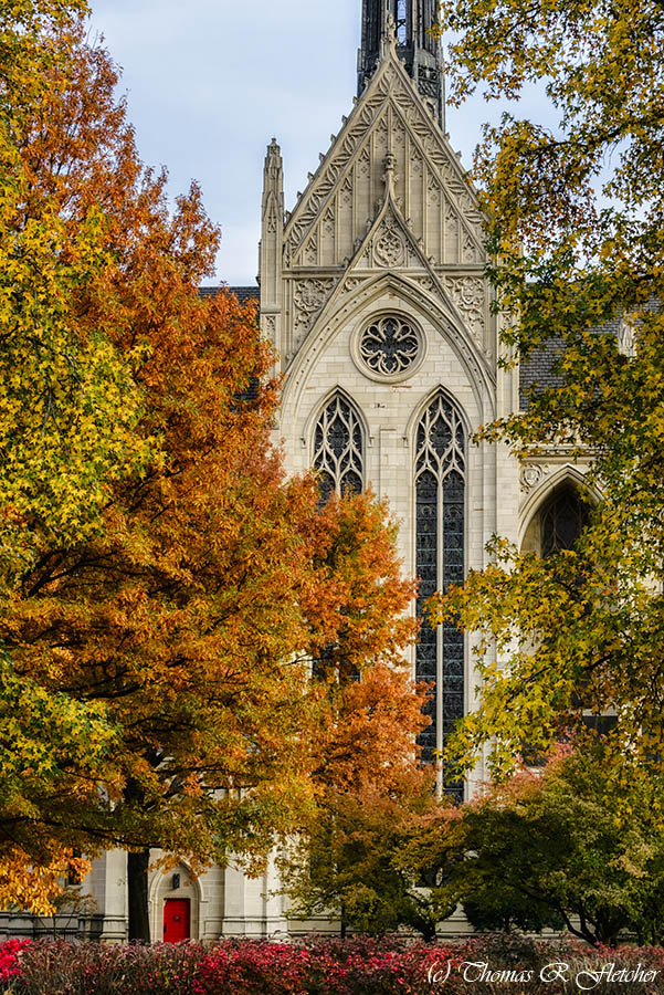 Heinz Chapel
#UniversityofPittsburgh #Pittsburgh #Pennsylvania #Faith #Hope #Love #ThePhotoHour