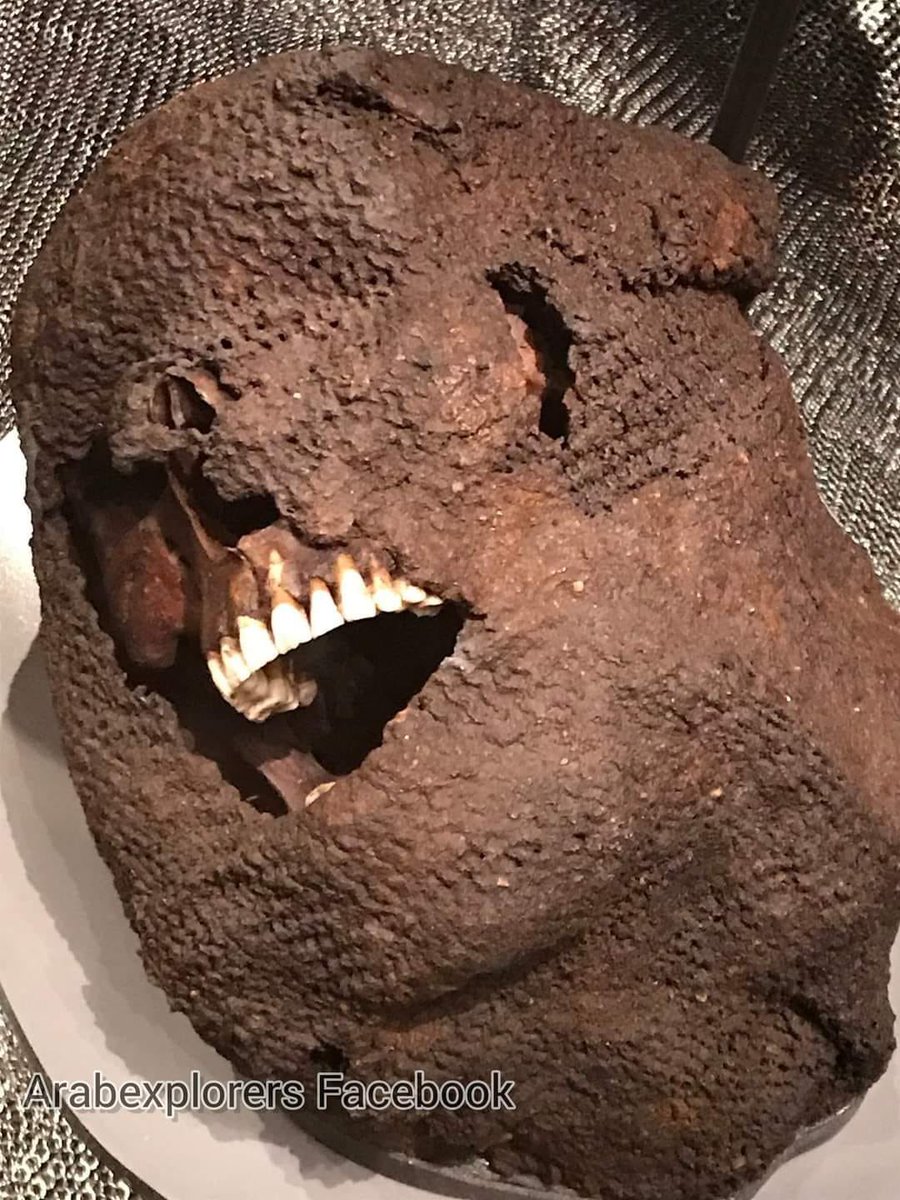 RuleStr's tweet photo. في عام 1361 ، نزل فالديمار الرابع من الدنمارك في جزيرة جوتلاند السويدية مع 3000 جندي يعتزمون الاستيلاء على الجزيرة.
تجري معركة كبيرة عند سفح أسوار المدينة الوحيدة على الجزيرة - فيسبي.
اشتباكات بين القوات الدنماركية ومزارعي جوتلاند. تحولت الى مجزره قتلت 2000 شخص. بعد المعركة ، https://t.co/A3GmLHPsUA