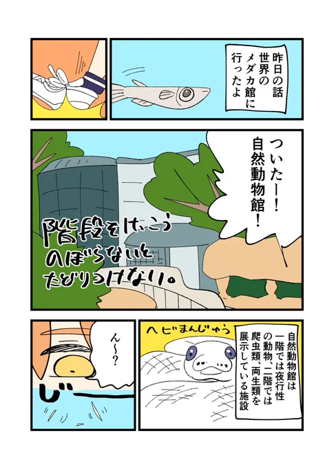 東山動植物園に久しぶりに行ってきました
3話
へびまんじゅうはかわいいしプラナリアにびっくりした 