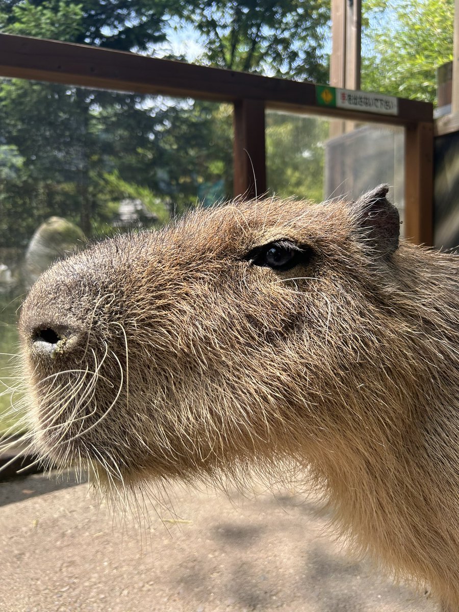 いい感じの雰囲気だしてくるな https://t.co/poi5hg0cjf